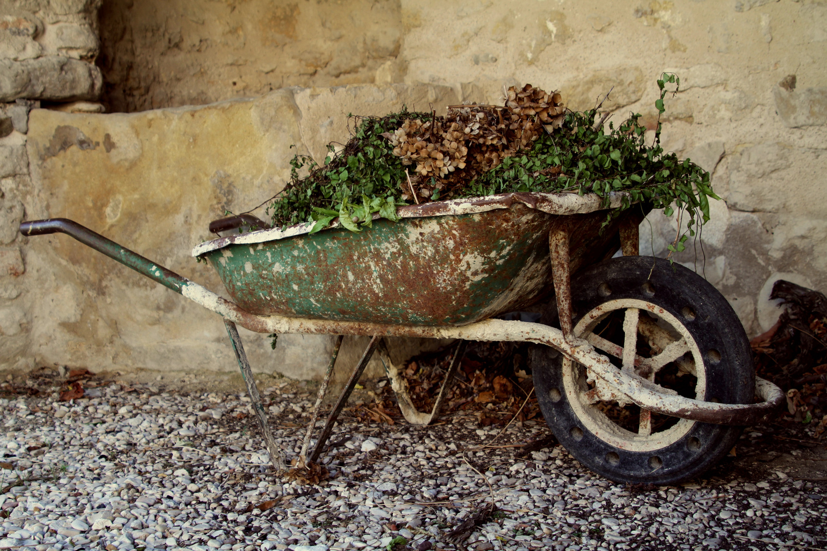 brouette de provence