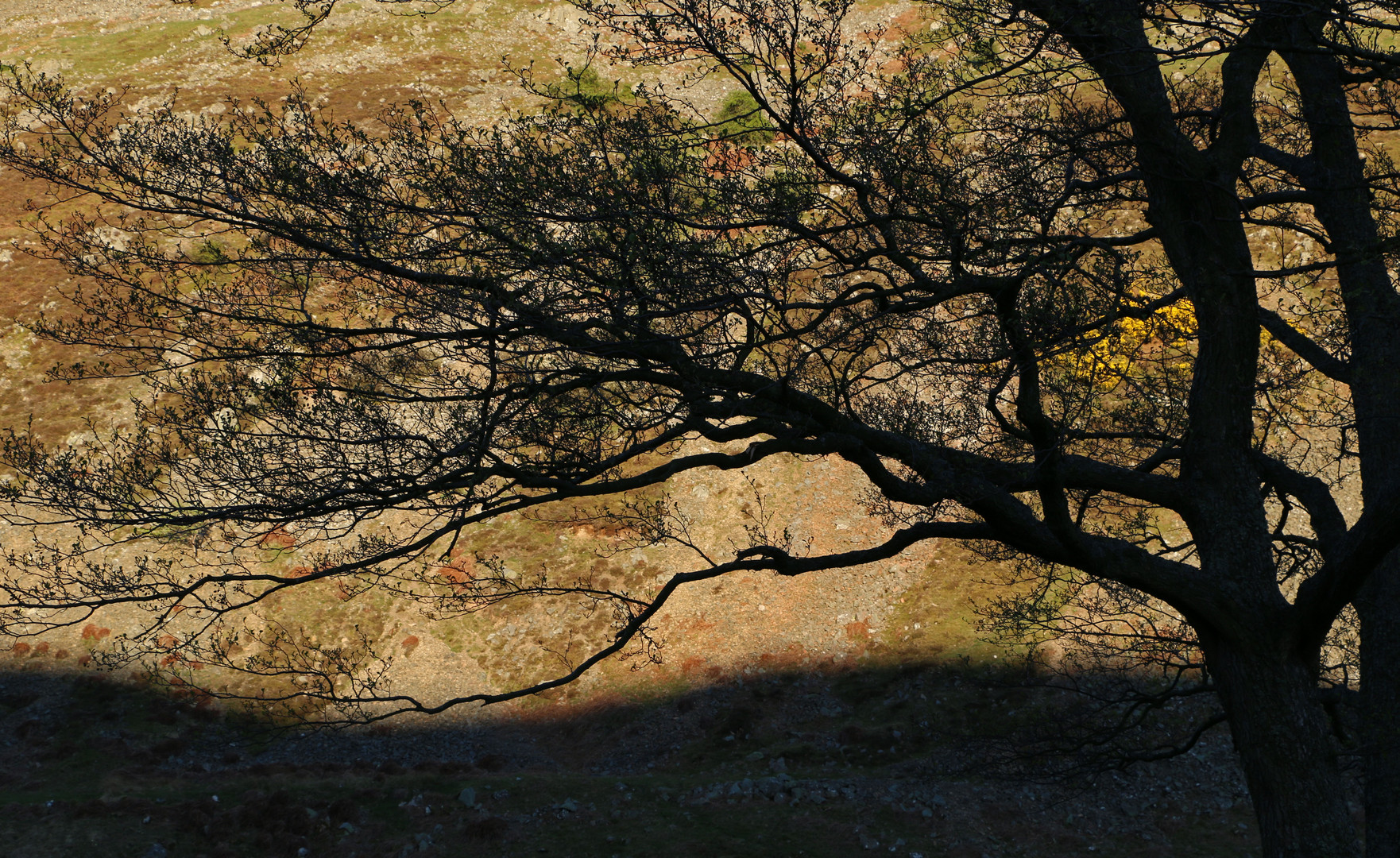 Brough Law at dusk