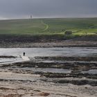 Brough of Birsay