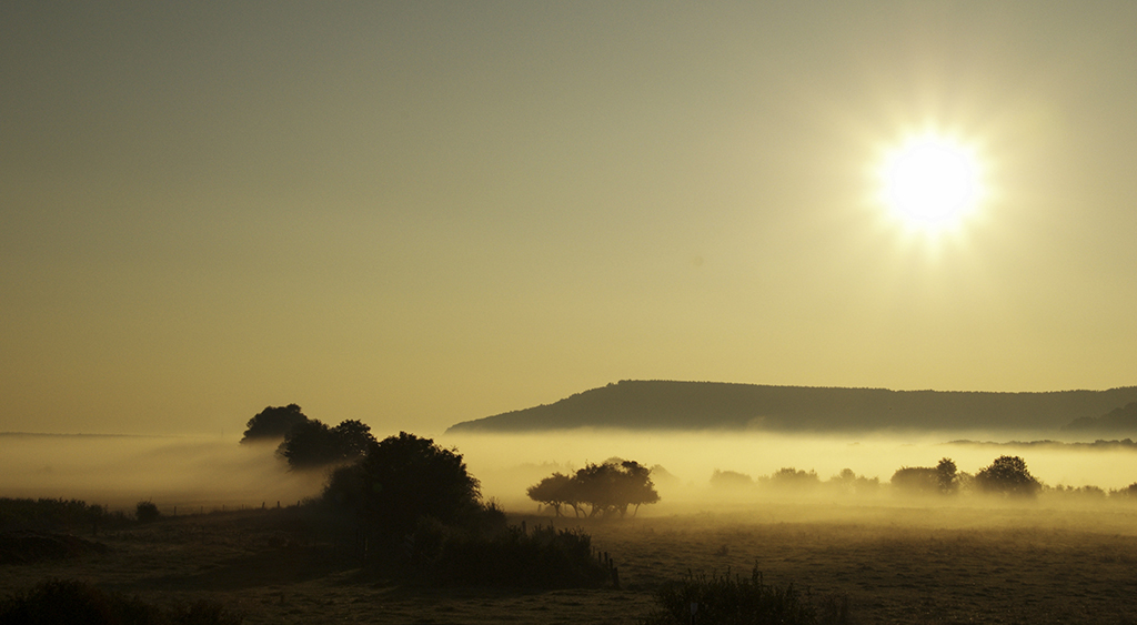 Brouillard