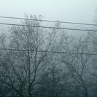 brouillard...