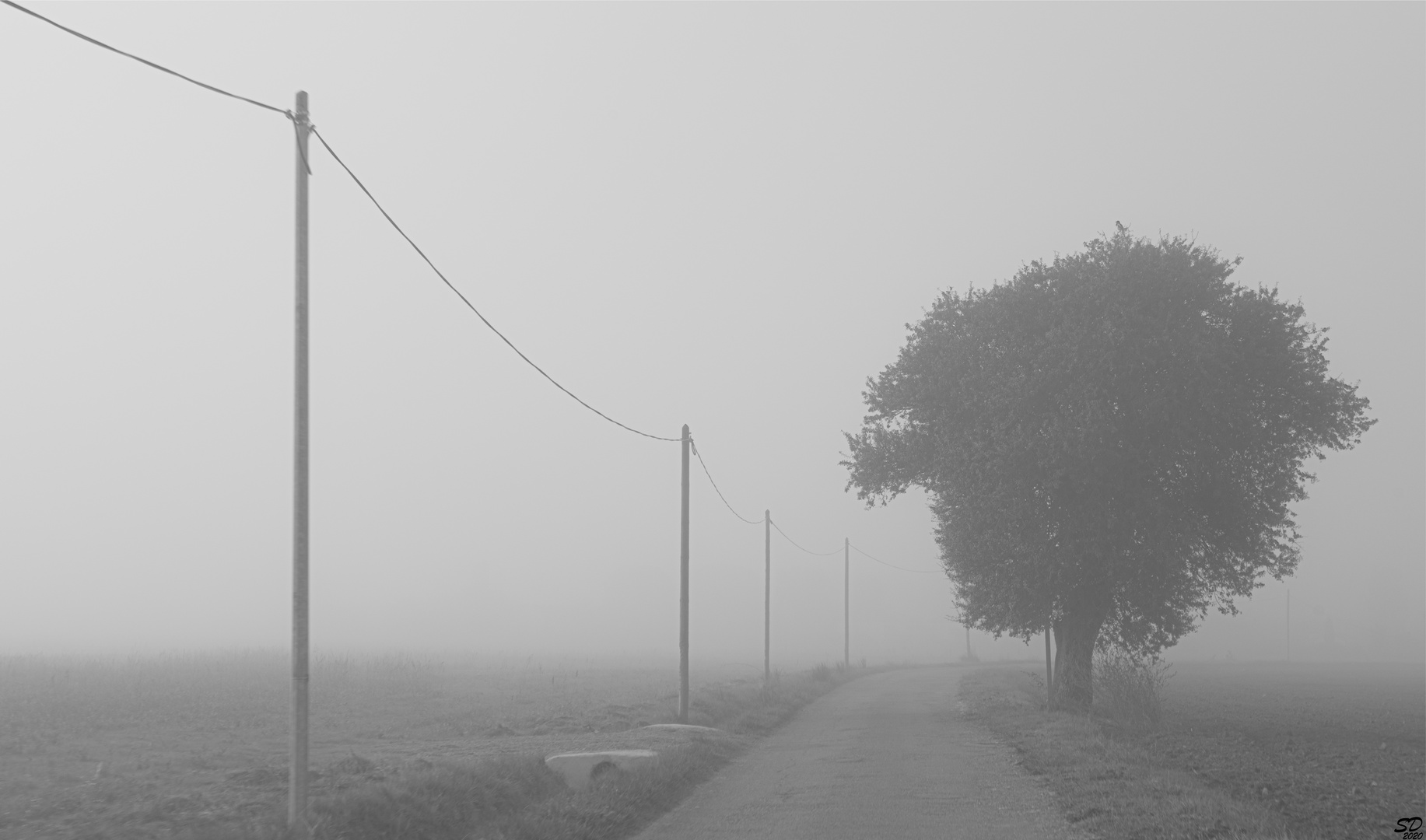 Brouillard 