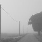 Brouillard 