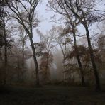 Brouillard au BOis de BOlogne - Dax