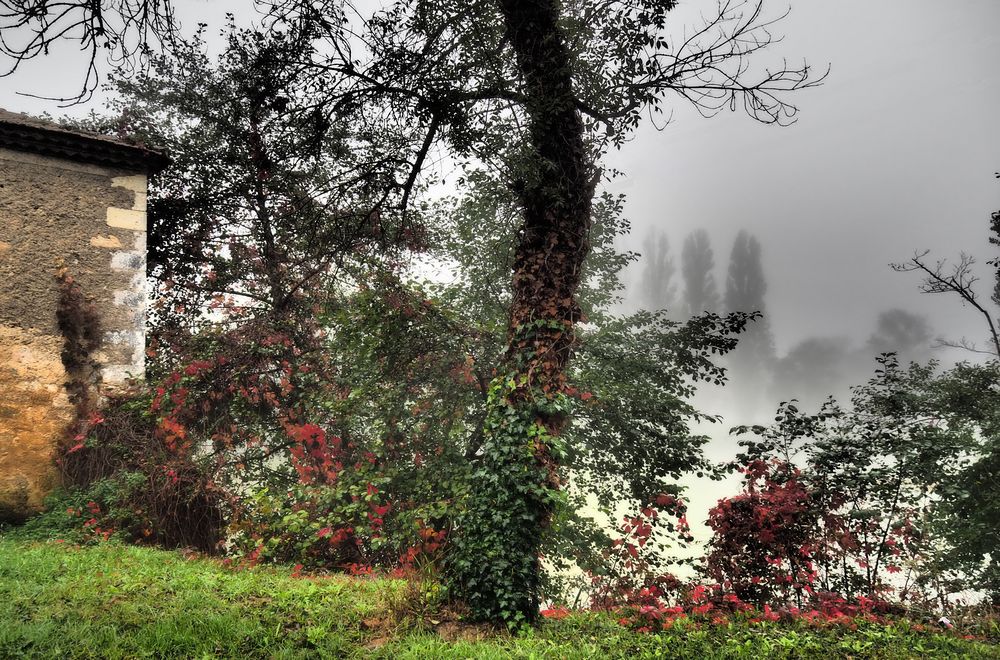 Brouillard au Moulin de Gauge à Condom