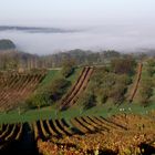 BROUILLARD AU PORTE DE PASSENANS