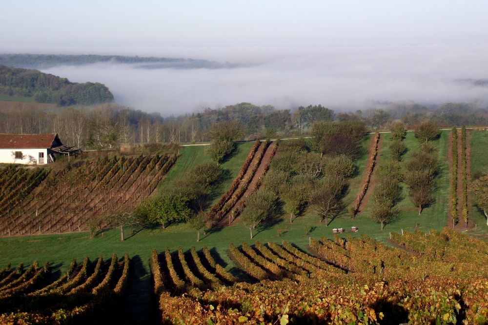 BROUILLARD AU PORTE DE PASSENANS