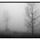 brouillard