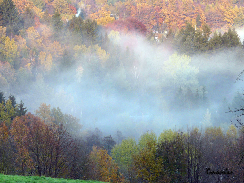 brouillard