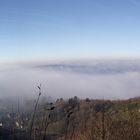 BROUILLARD DANS LA VALLEE