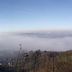 BROUILLARD DANS LA VALLEE