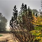 Brouillard dans la vallée de la Baïse