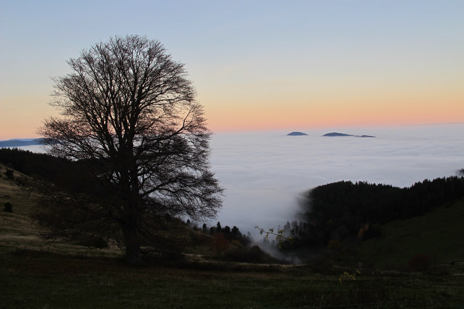 Brouillard d'automne