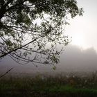 Brouillard de début d’automne dans le nord du Gers