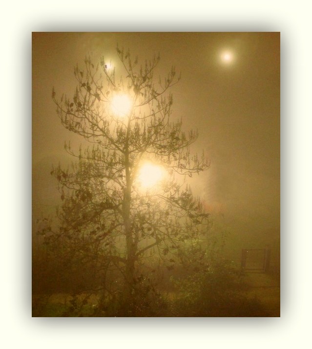 Brouillard de Noël