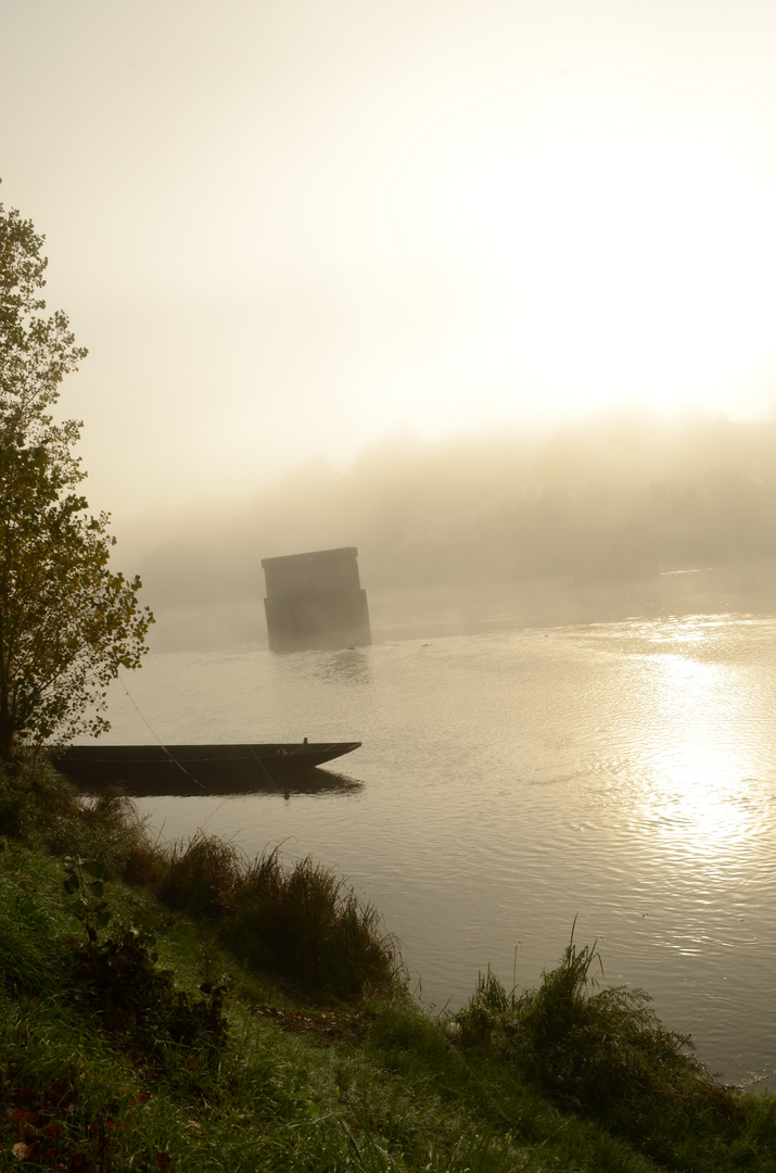 brouillard du matin