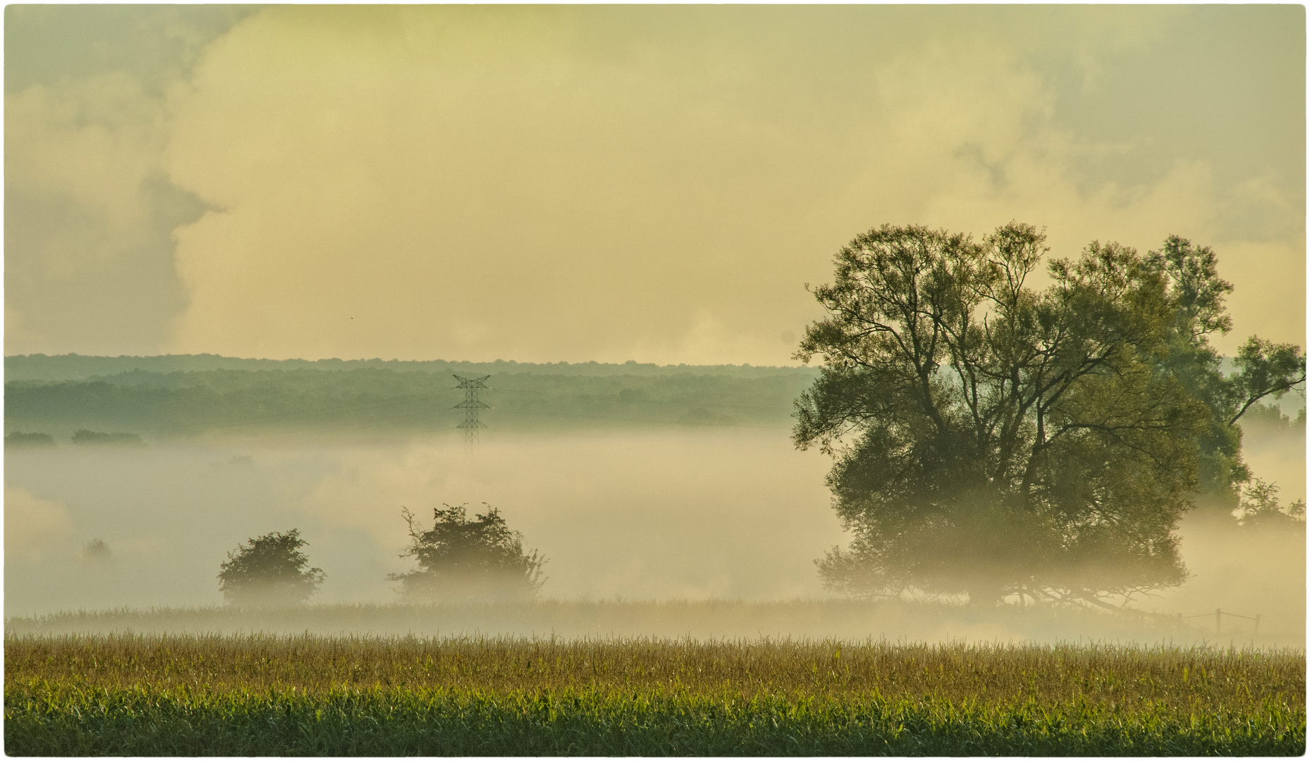 BROUILLARD EN MOSELLE