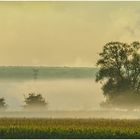 BROUILLARD EN MOSELLE