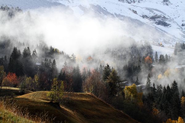 Brouillard entre automne et hiver ....