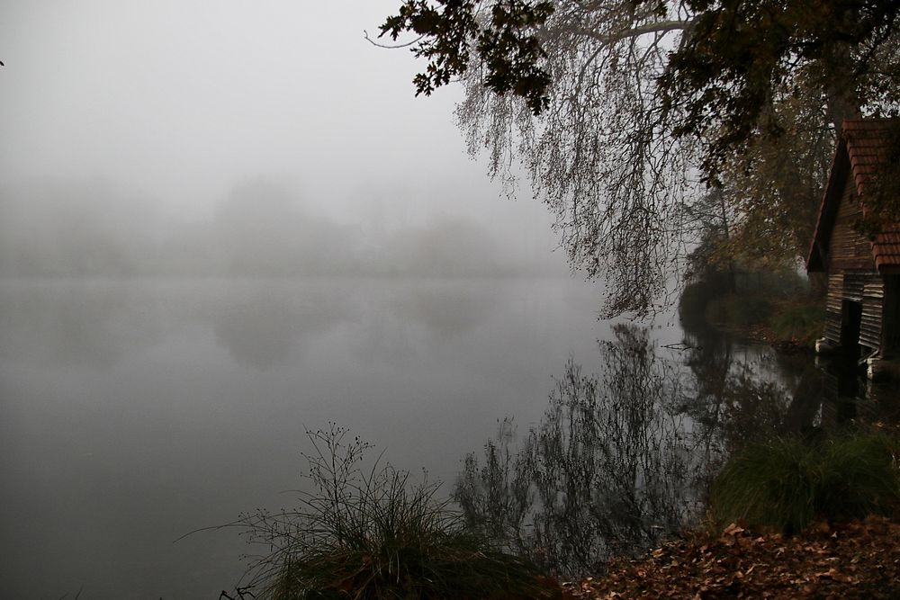 Brouillard épais !