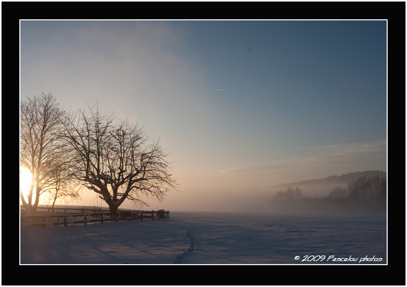 Brouillard et coucer de soleil