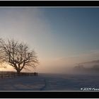 Brouillard et coucer de soleil