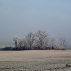 BROUILLARD ET GIVRE SUR LA CAMPAGNE JURASSIENNE