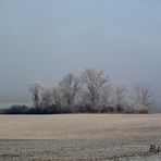 BROUILLARD ET GIVRE SUR LA CAMPAGNE JURASSIENNE