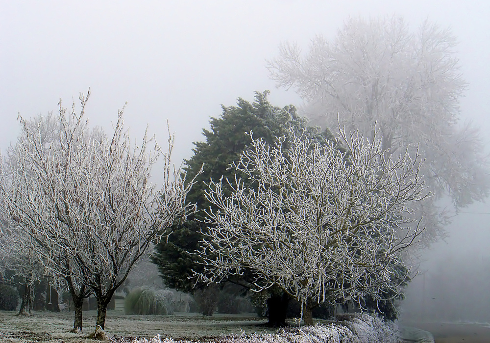 Brouillard givrant en face de chez moi -- 12/2005 -- Überfrierender Nebel meinem Haus gegenüber.