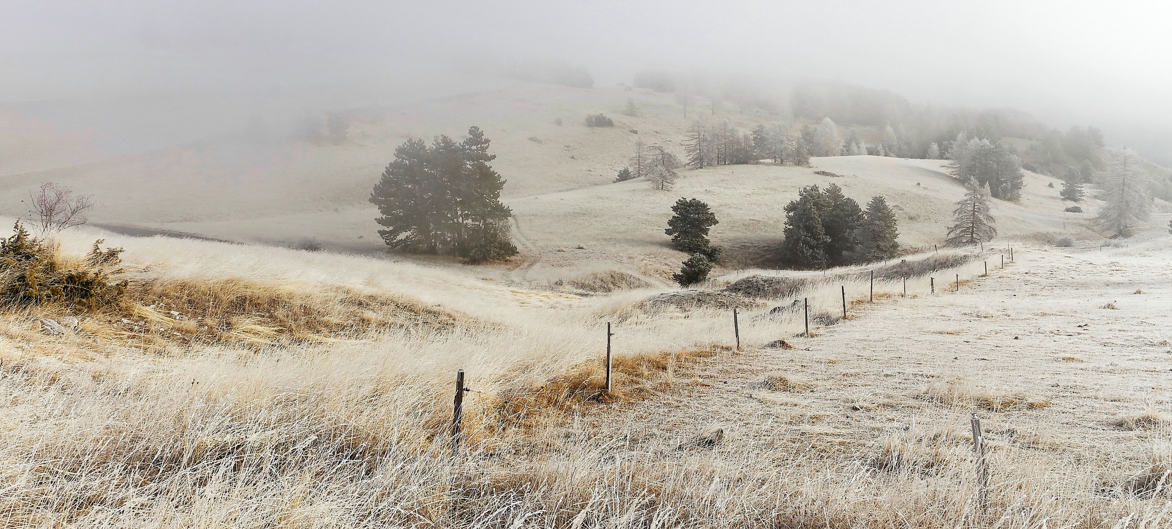 Brouillard givrant sur les alpages des Hautes-Alpes.