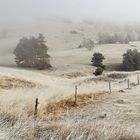 Brouillard givrant sur les alpages des Hautes-Alpes.