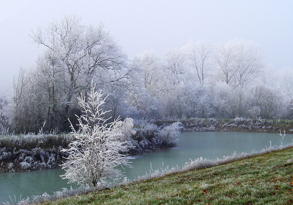 Brouillard givrant sur l’étang -- 12/2005 -- Überfrierender Nebel am Weiher