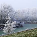 Brouillard givrant sur l’étang -- 12/2005 -- Überfrierender Nebel am Weiher