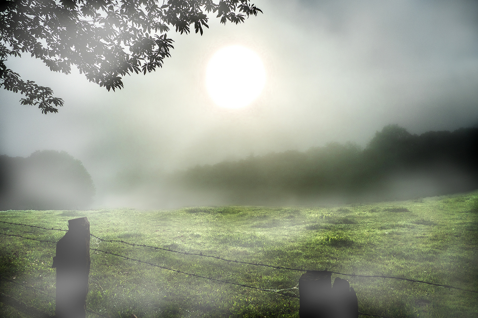 Brouillard matinal. photo et image | divers, la nature simplement ...
