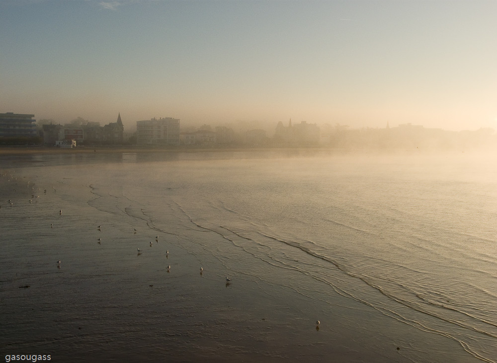 brouillard matinal