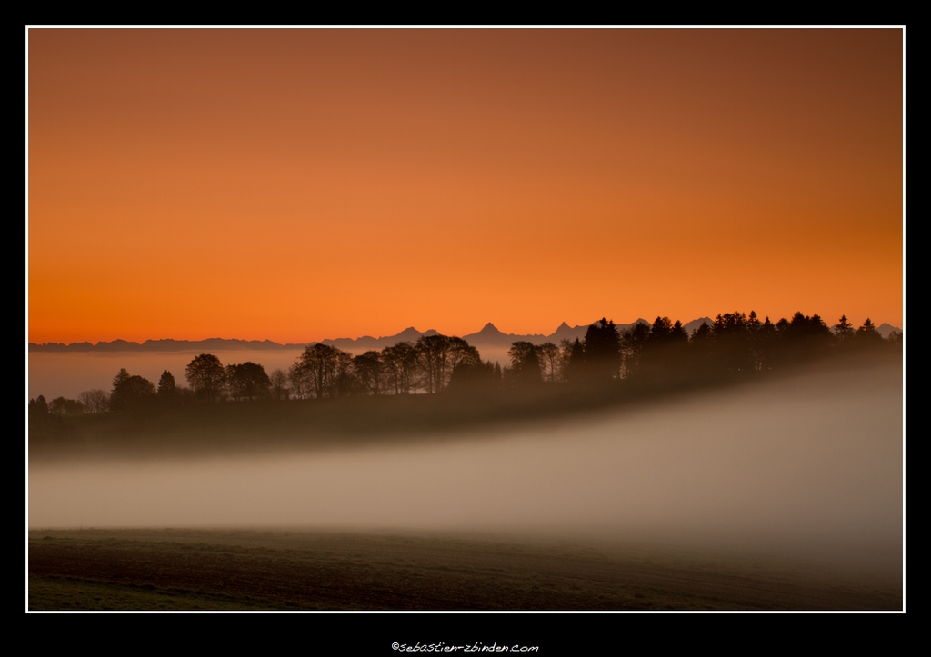 Brouillard par vague