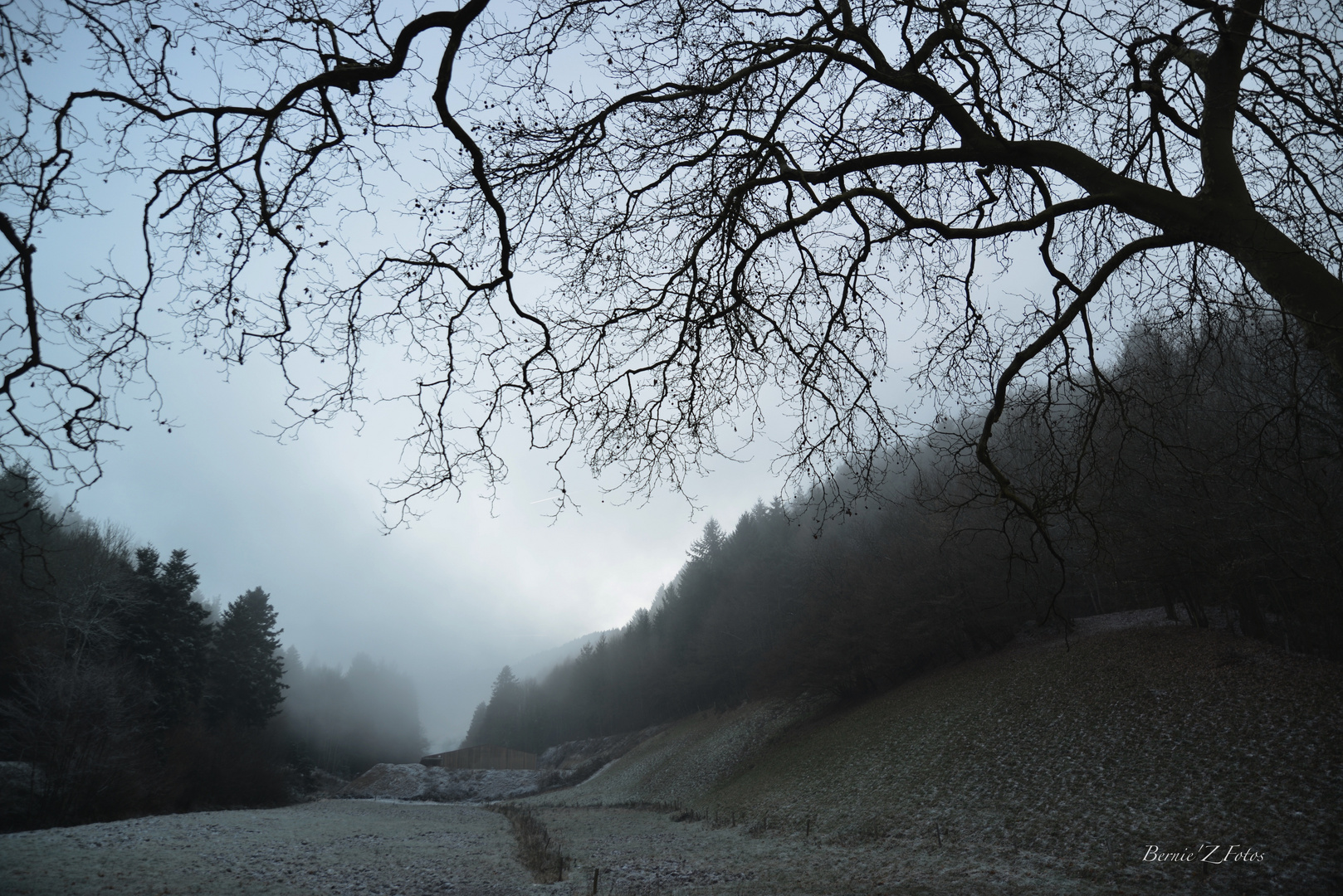 brouillard quand tu nous tiens