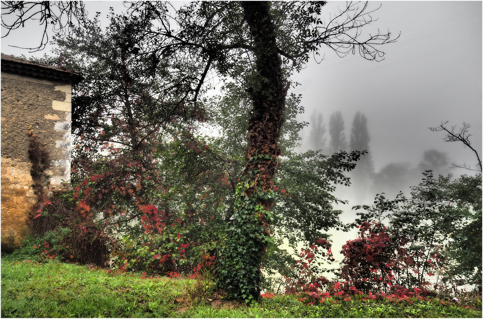 Brouillard sur la Baïse