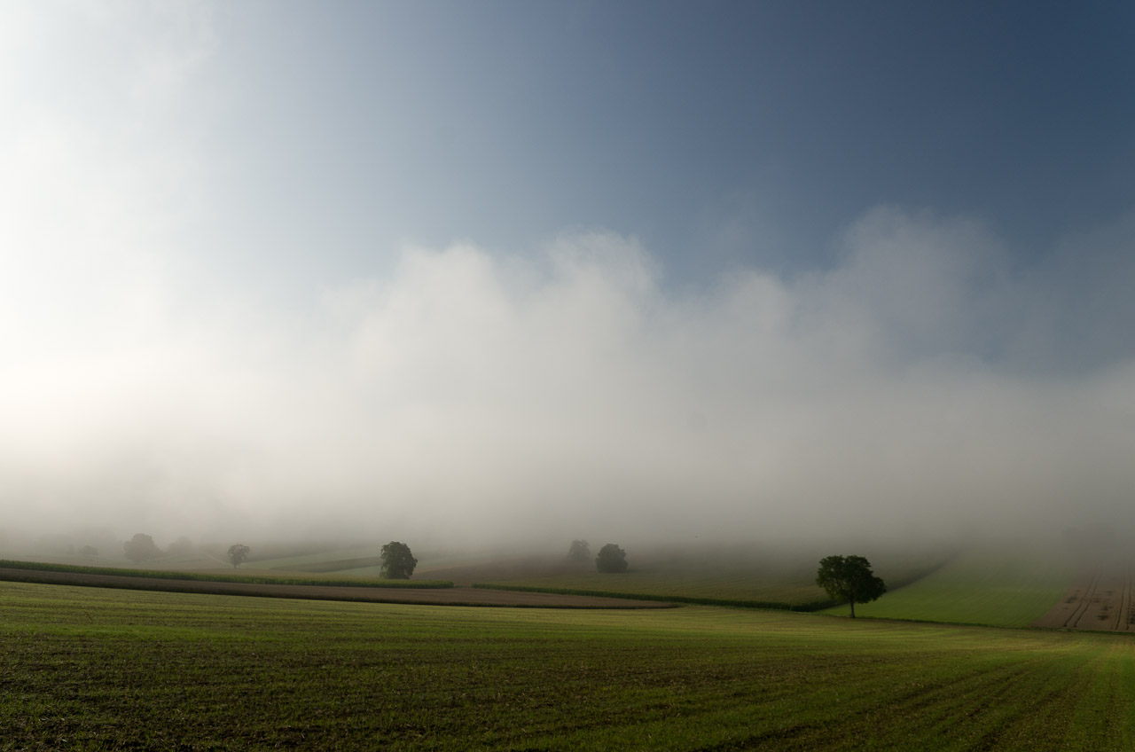 Brouillard sur la plaine