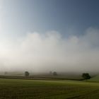 Brouillard sur la plaine