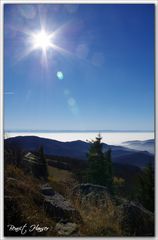 Brouillard sur la plaine d'Alsace