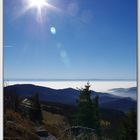 Brouillard sur la plaine d'Alsace