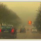Brouillard sur la route