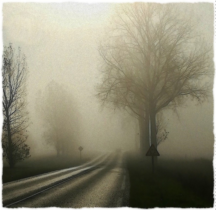 brouillard sur la route..