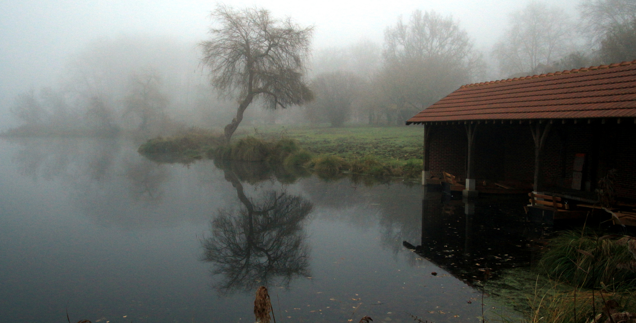 brouillard sur le lac d'Uza