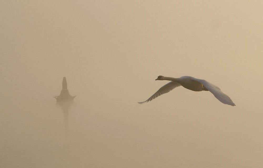 brouillard sur le Rhin