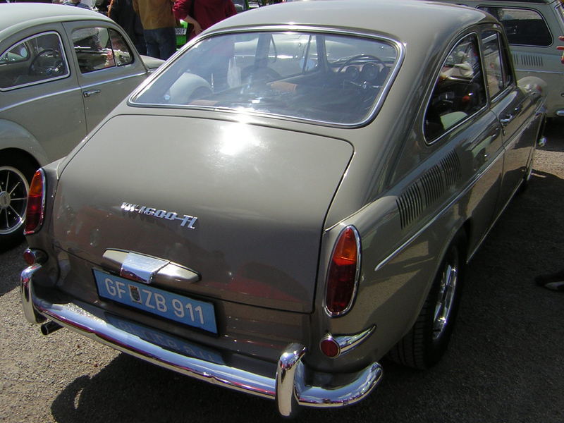 brown dasher Fastback