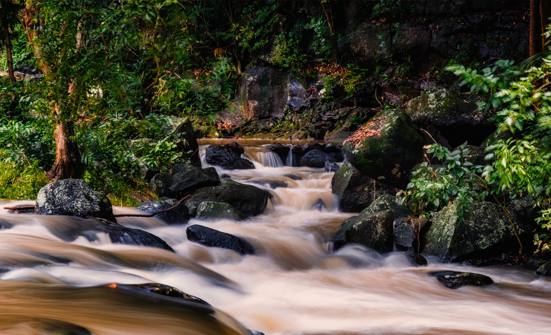 brown earth water