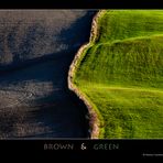 brown & green...Terre senesi...
