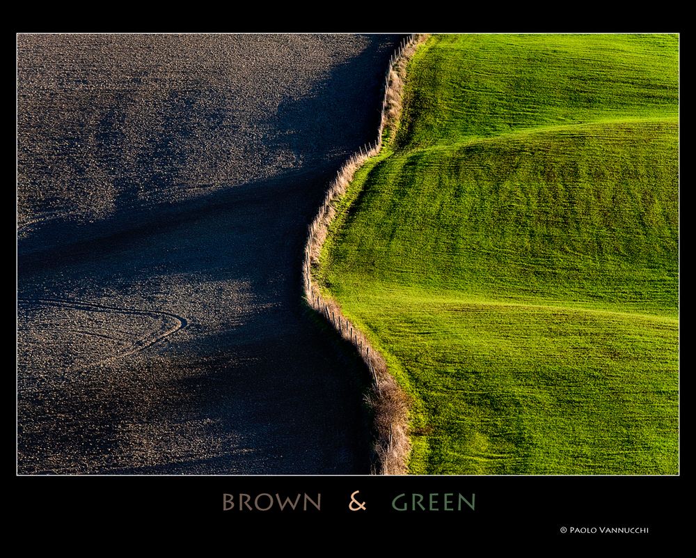 brown & green...Terre senesi...